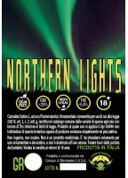 northern-lights-canapa-di-maremma_2020869343