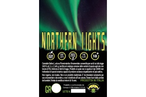 northern-lights-canapa-di-maremma_2020869343