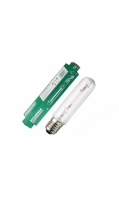 bulbo-sylvania-grow-express-fioritura