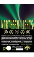 northern-lights-canapa-di-maremma_2020869343