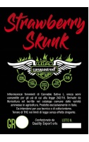 strawberry-shunk