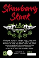 strawberry-shunk