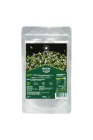 proteine-di-canapa-in-polvere