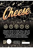 cheese