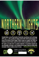 northern-lights-canapa-di-maremma_2020869343