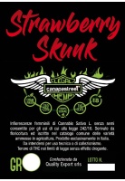 strawberry-shunk