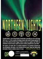 northern-lights-canapa-di-maremma_2020869343