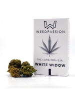 white-window