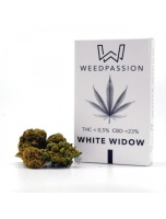 white-window