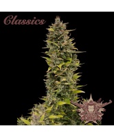 buddha-ak