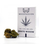 white-window