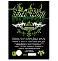 cannabis-light-fat-boy