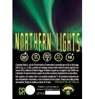 northern-lights-canapa-di-maremma_2020869343