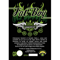 cannabis-light-fat-boy