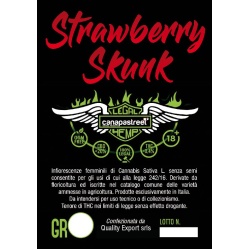strawberry-shunk