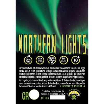 northern-lights-canapa-di-maremma_2020869343